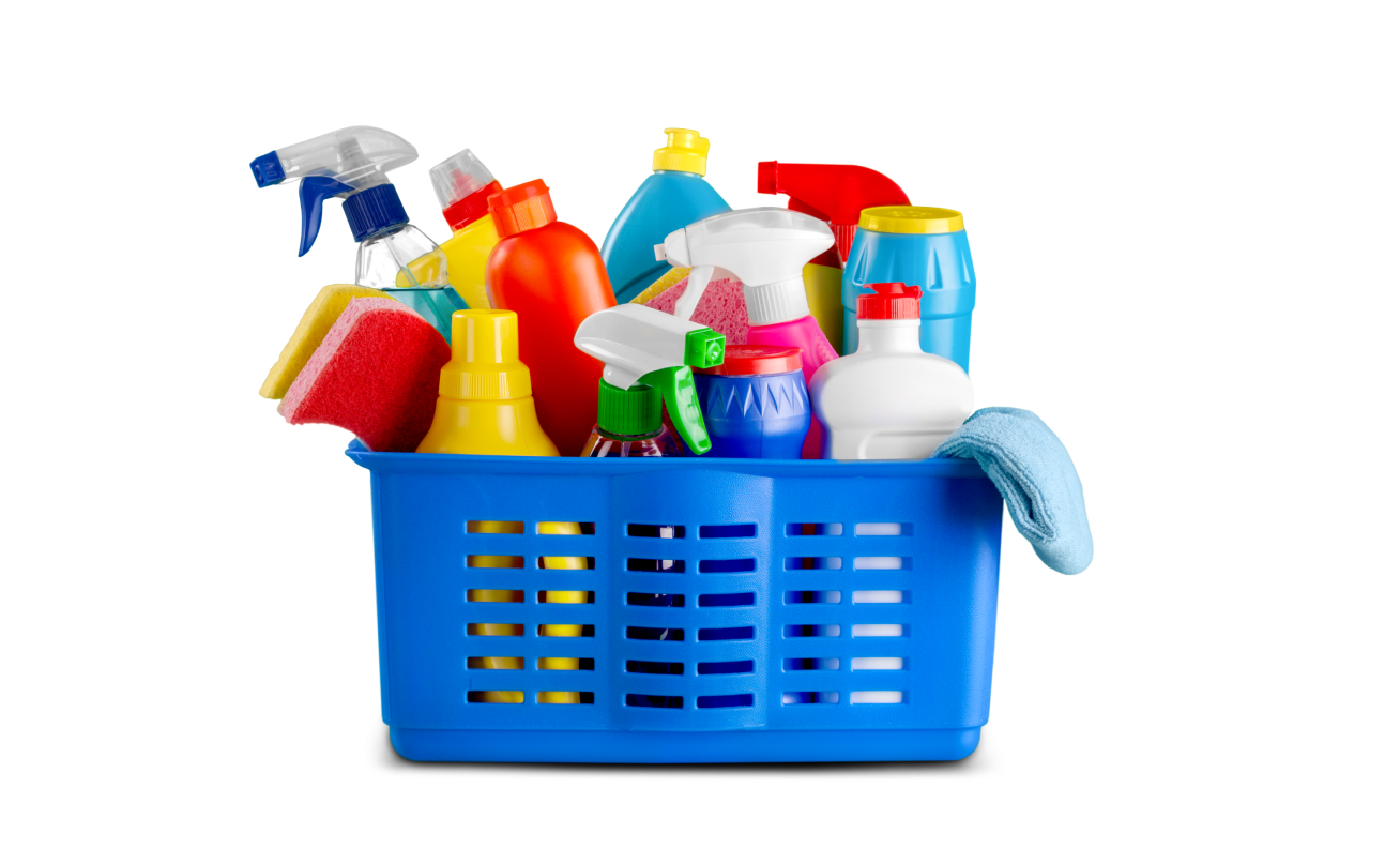 Professional Cleaning Team