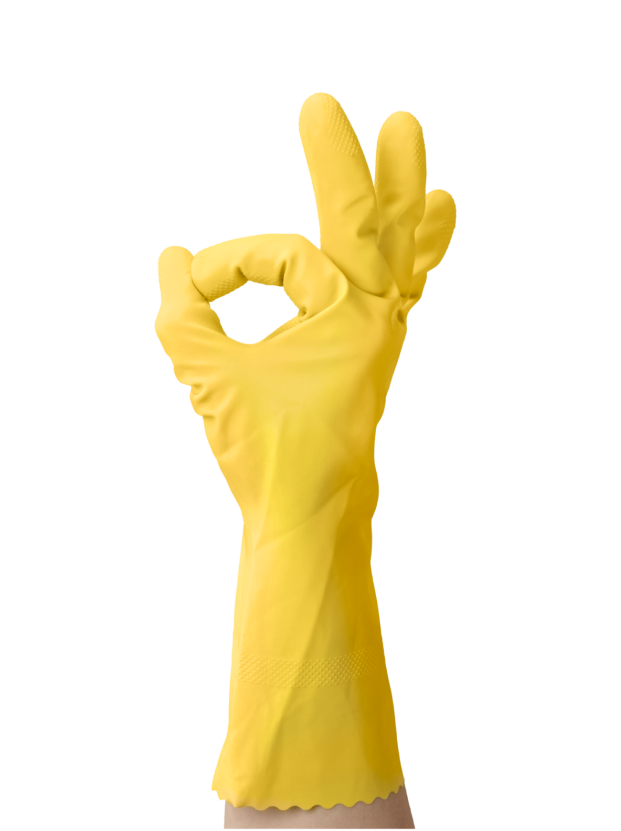 Cleaning professional